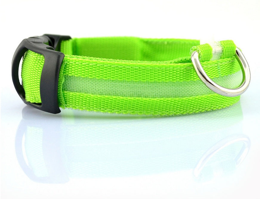 Green rechargeable LED dog collar