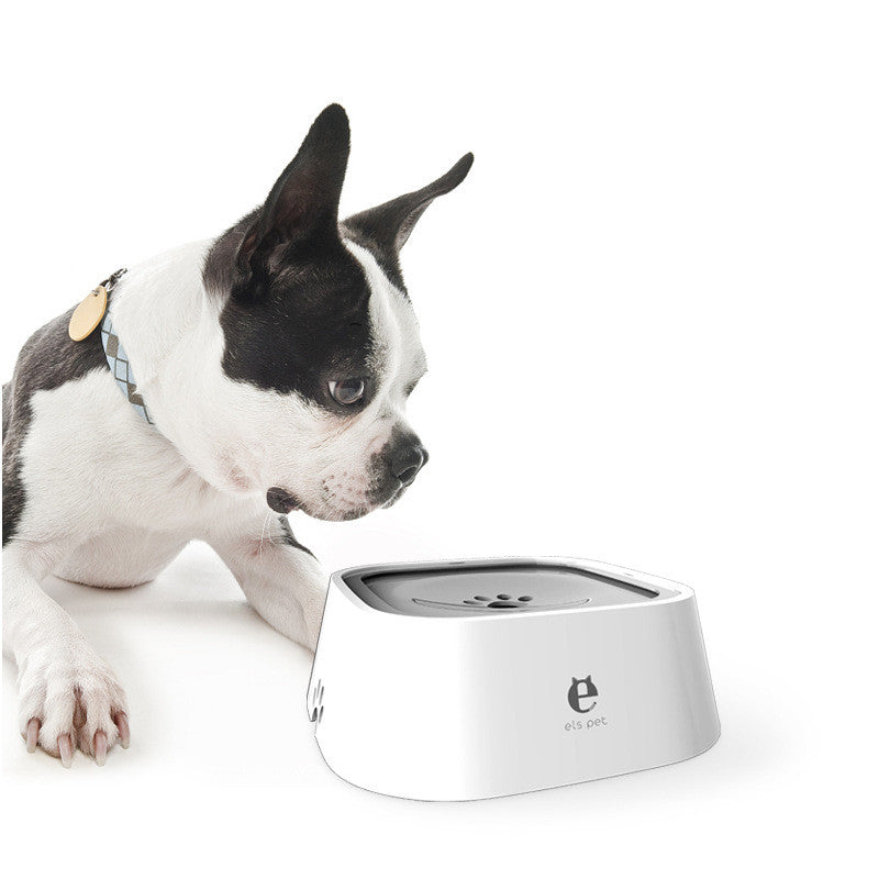 Dog using the anti-spill water bowl indoors