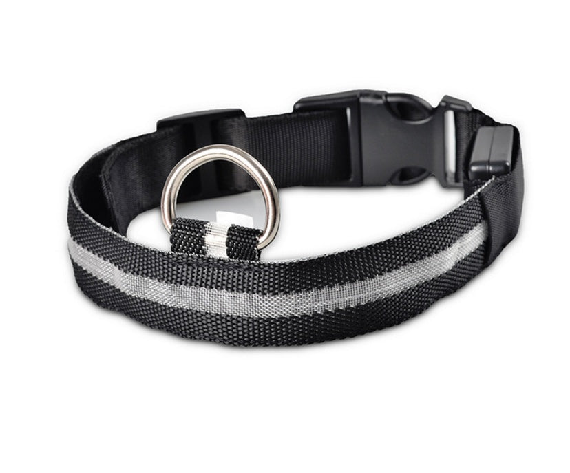 White rechargeable LED dog collar