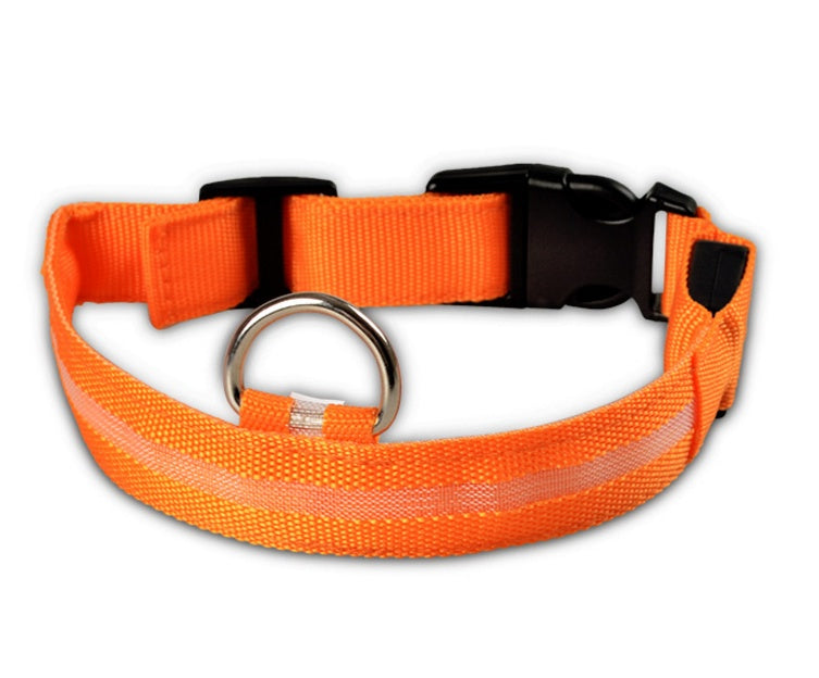 Orange rechargeable LED dog collar