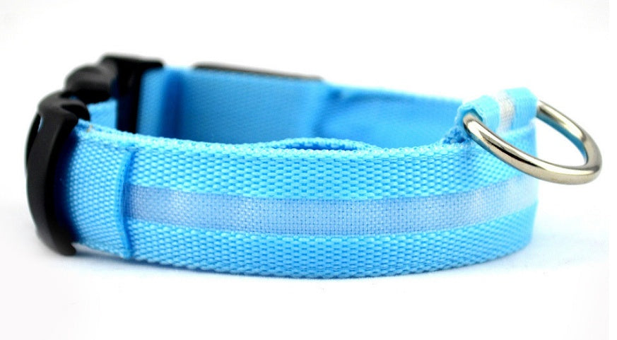 Blue rechargeable LED dog collar