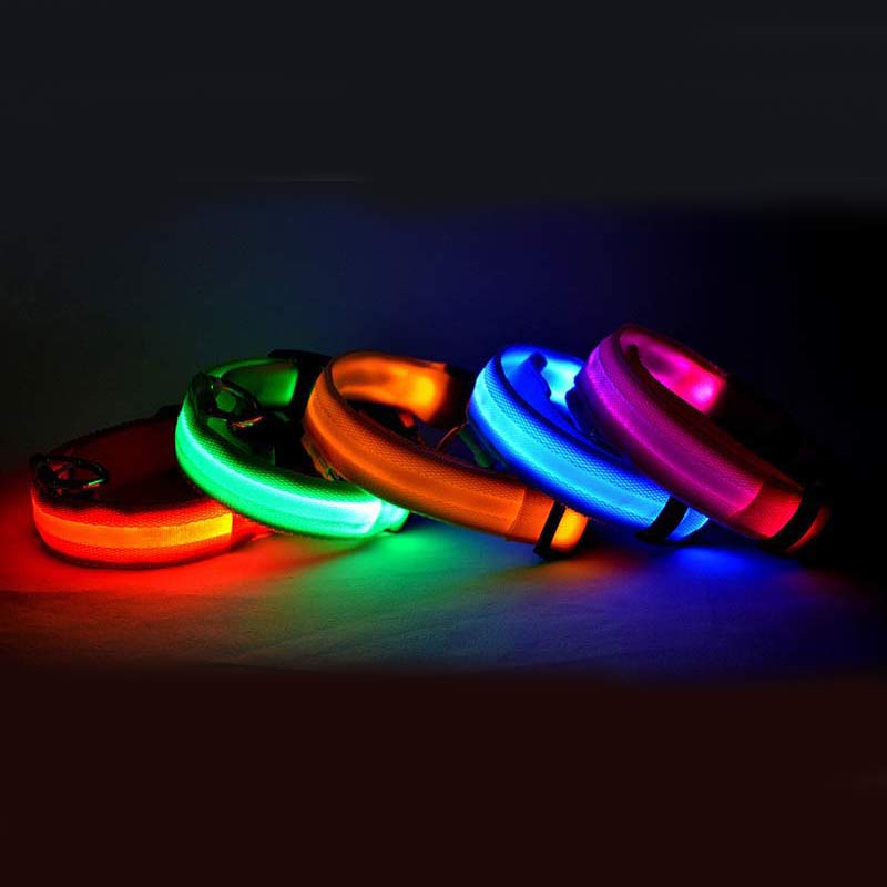 Rechargeable LED dog collars glowing in multiple colors at night