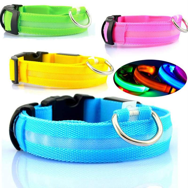 Rechargeable LED dog collar color options on a white background
