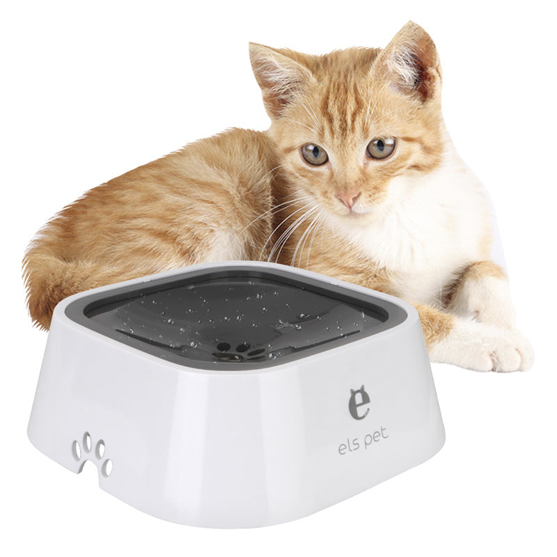 Cat beside the anti-spill pet water bowl