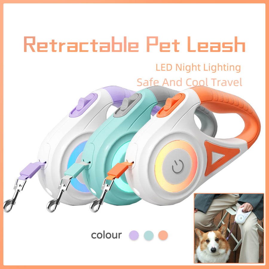 LED retractable dog leash with built-in spotlight – product view 10
