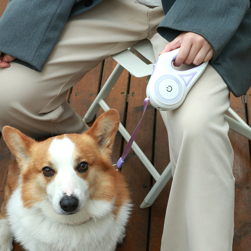 LED retractable dog leash with built-in spotlight – product view 2