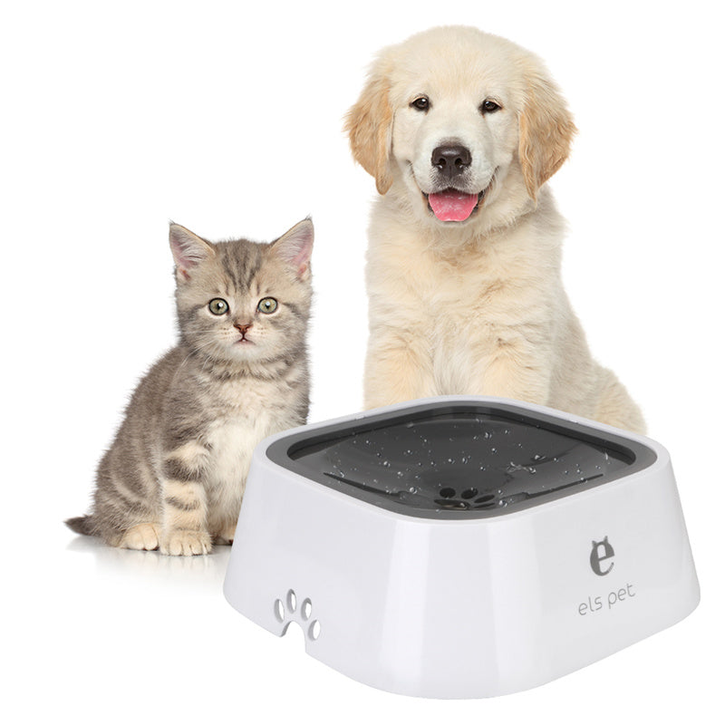 Cat and dog beside an anti-spill pet water bowl