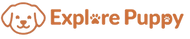 Explore puppy