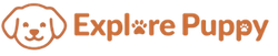 Explore puppy