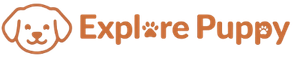 Explore Puppy
