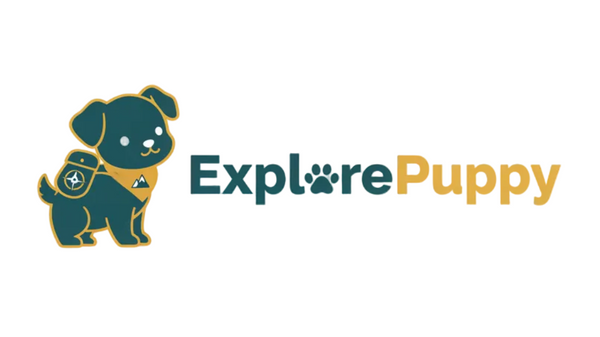 Explore puppy
